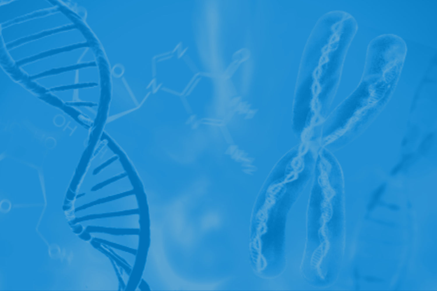 What is Methylation?