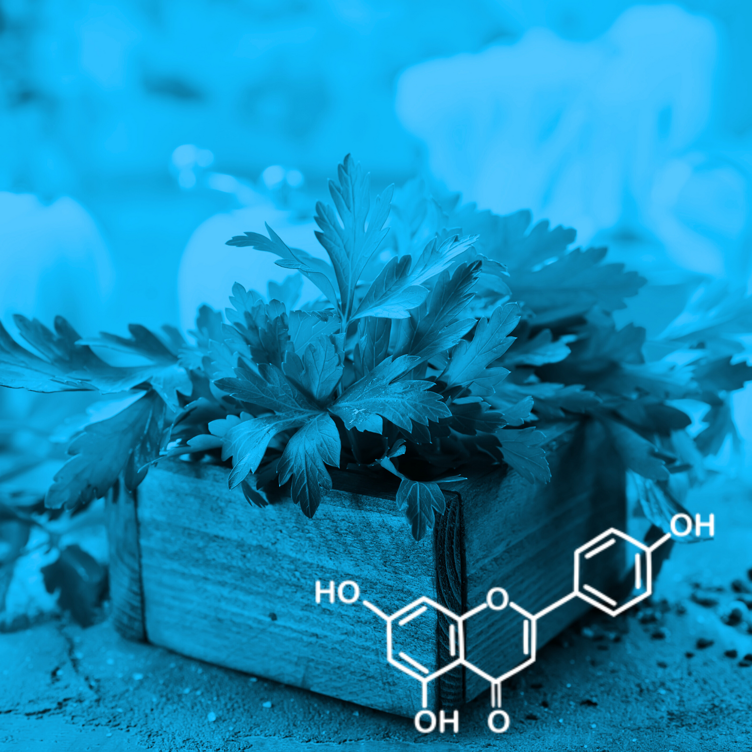 What are some natural sources of apigenin?