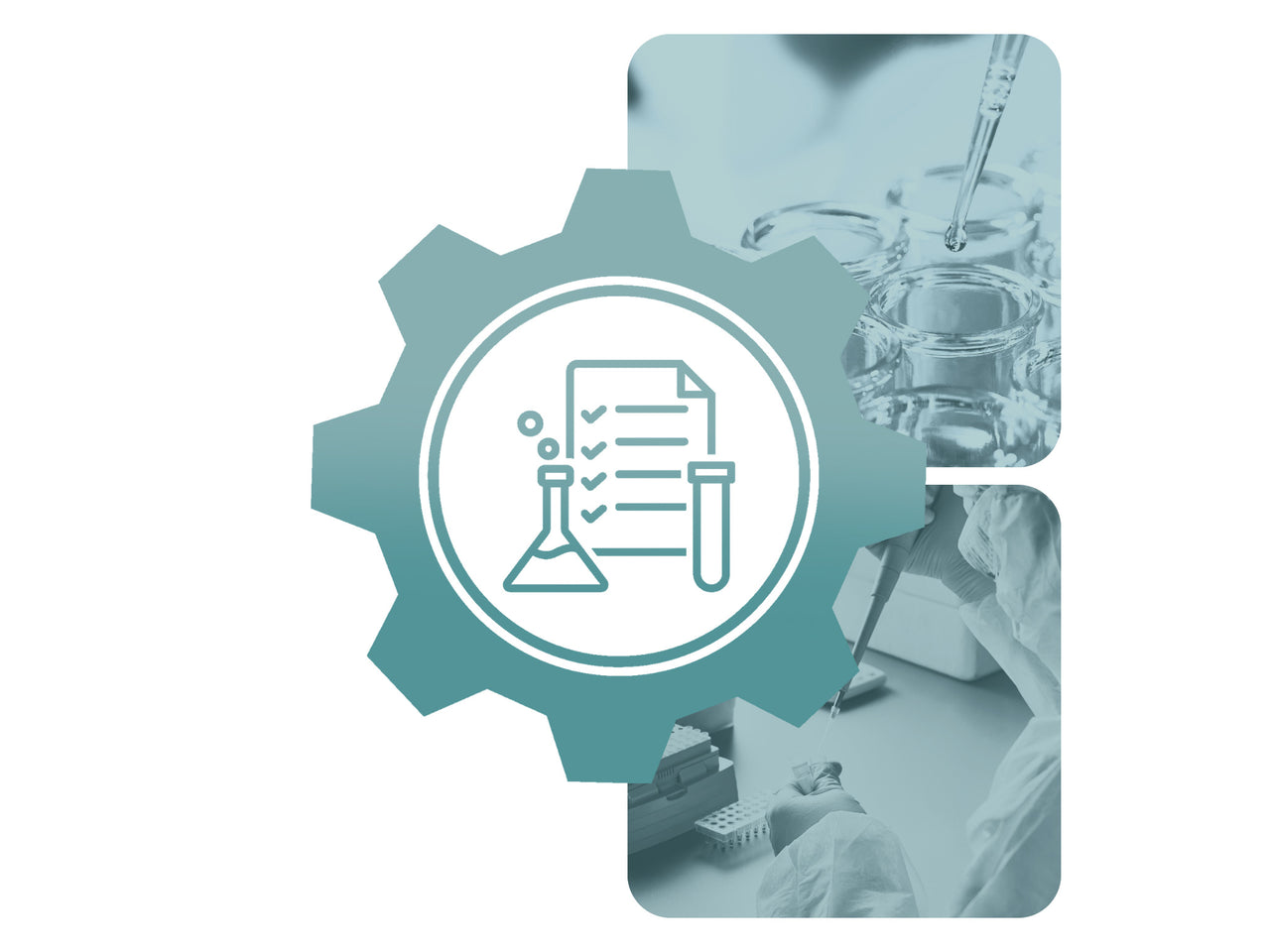 Formulation process troscriptions 