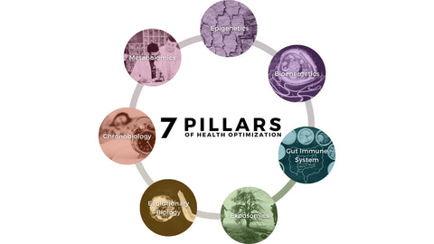 7 Pillars of Health Optimization