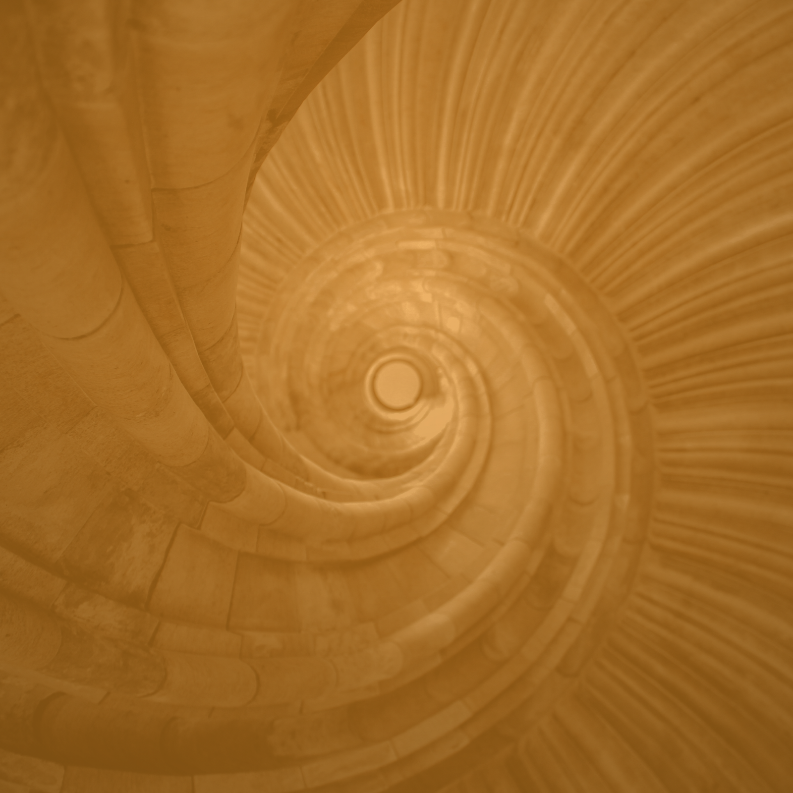 The Sympathetic Spiral of Doom: How Modern Life Hijacks Biology—and the Science of Breaking Free Now and Forever