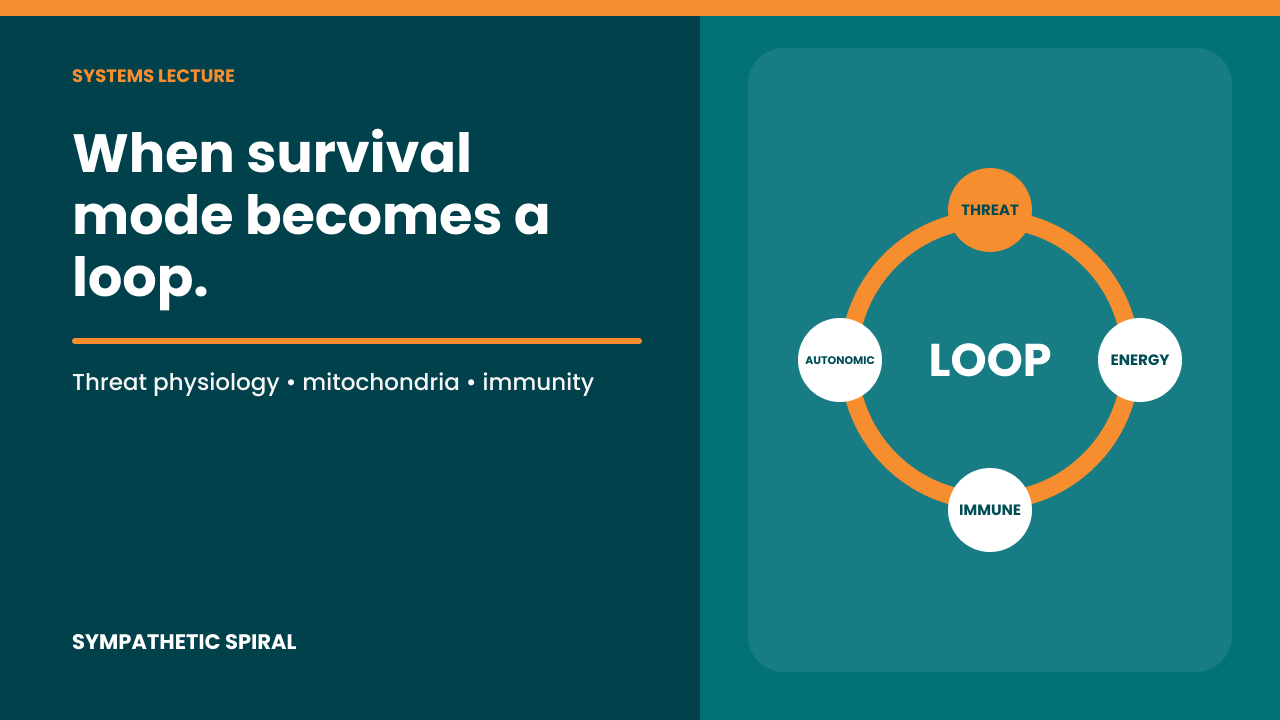 The Sympathetic Spiral of Doom: How Modern Life Hijacks Biology—and the Science of Breaking Free Now and Forever