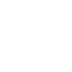 Monthly AMAs (Ask Me Anything) with the Troscriptions Team